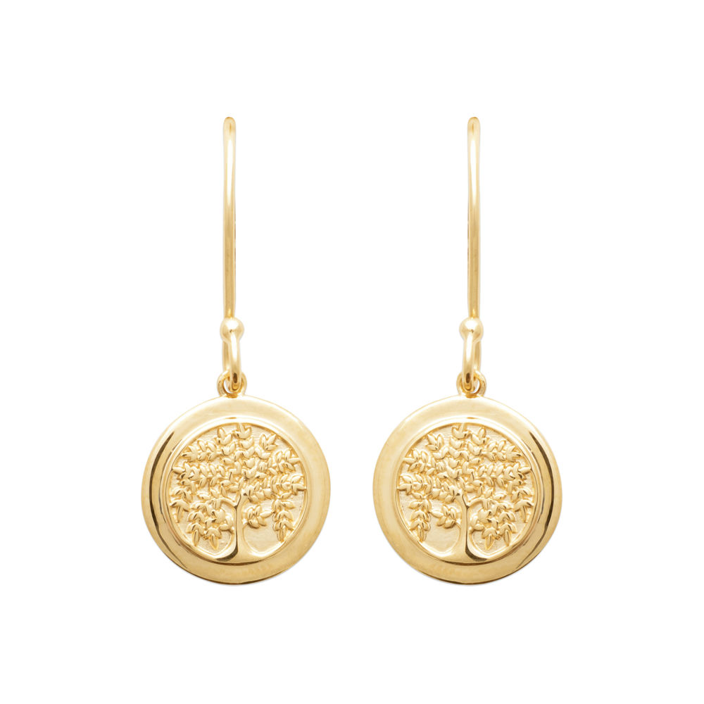 Boucles d'oreilles Robertine en plaqué or