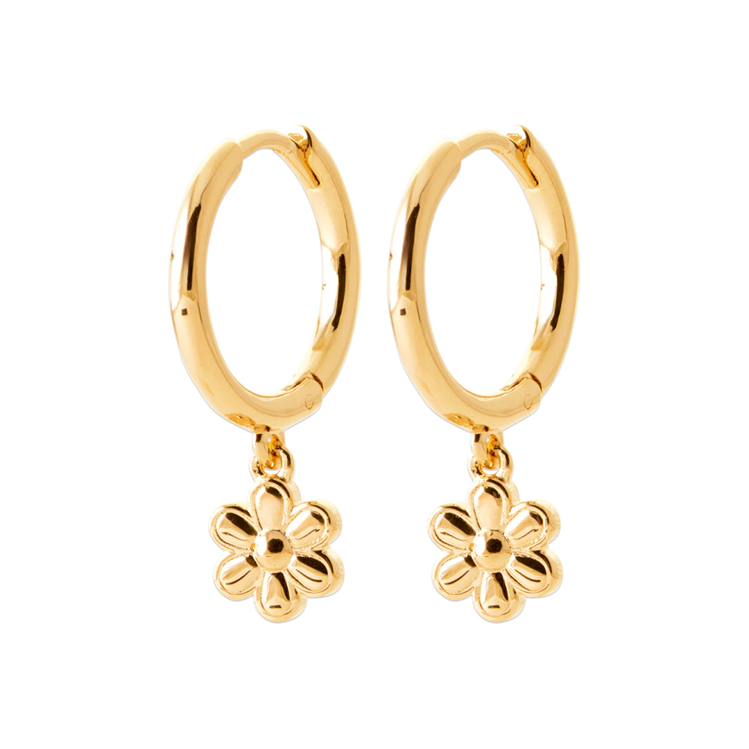 Boucles d'oreilles Fortune en plaqué or