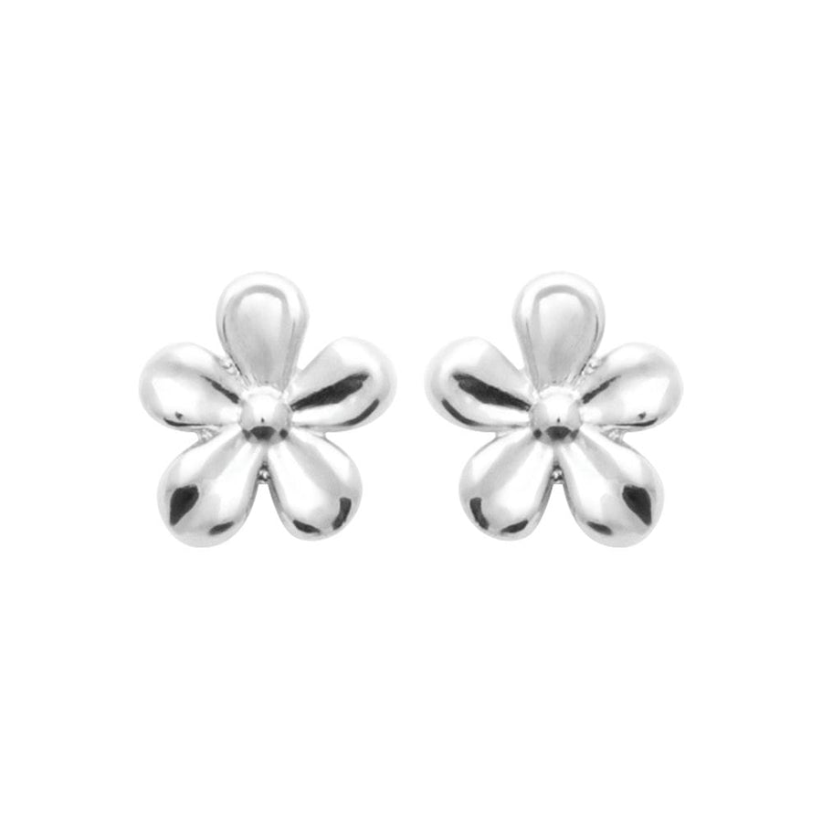 Boucles d'oreilles Fronika en argent