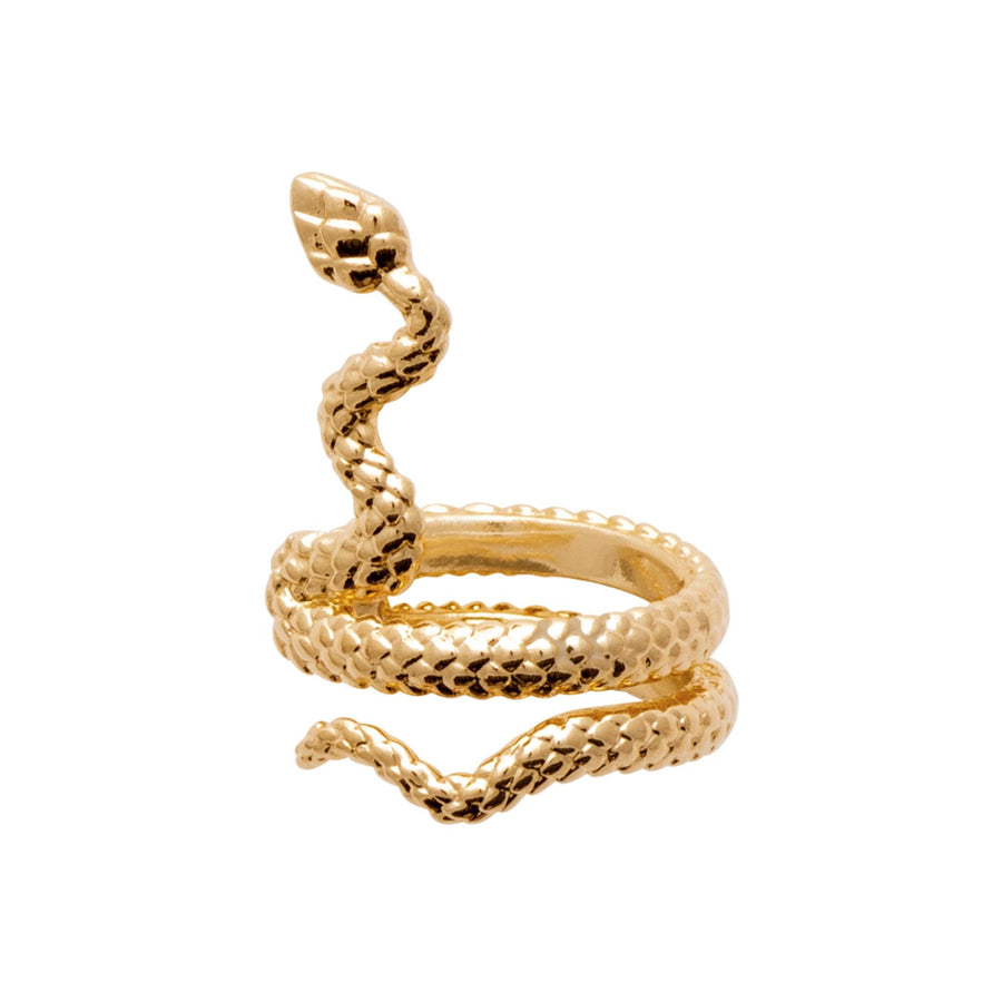 Bague d'oreille Valeriane en plaqué or